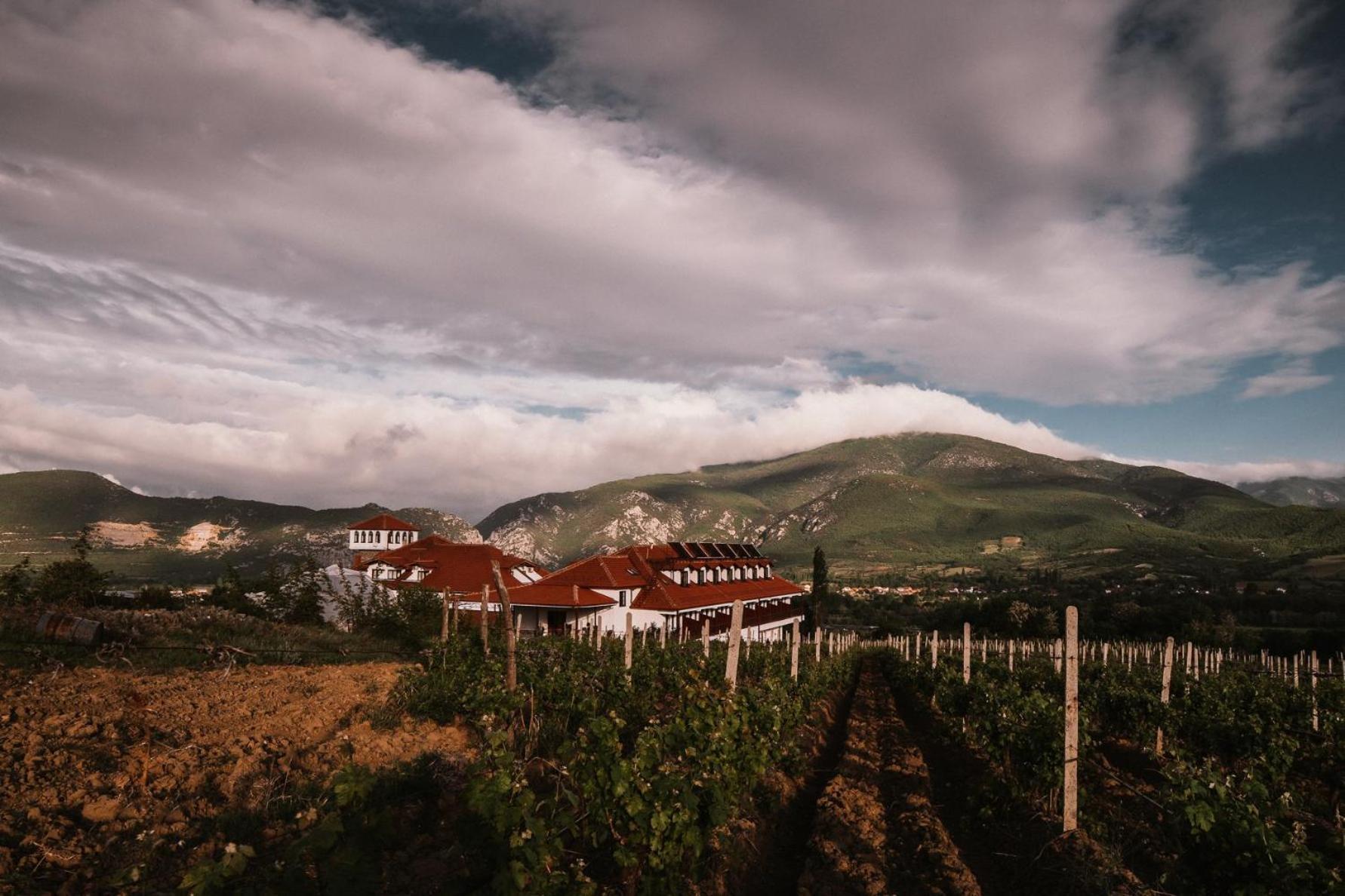 Popova Kula Hotel & Winery Demir Kapija Exterior foto